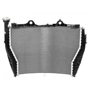 product/b/r/brazoline_ra5058_noir-gris_1.jpg