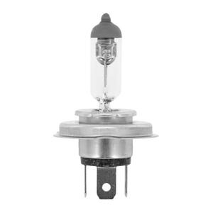 37346-bulb-flosser-hs1-culot-px43t-white-silver-12-v-35-35-w