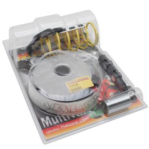 13831-maxiscooter-inverter-malossi-multivar-2000-sport-linhai-125-monarch-4t-150-monarch-4t-wt-motors-150-kayman-wt-4t-1p57qmj-black-silver-one-size