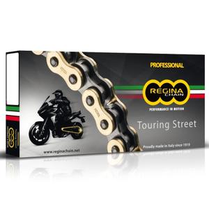 135zrt-1022-100-link-chain-delivered-with-2-attachments-regina-zrt-520-golden-one-size