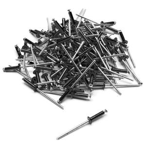 5081-set-of-100-license-plate-rivets-top-plaq-black-silver-4x16-mm